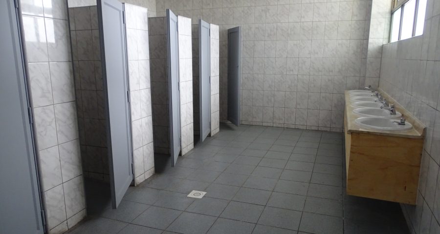 Entre profes en el baño del liceo.