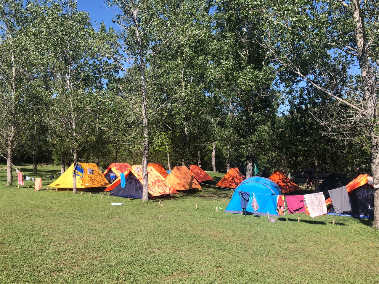 EL CAMPAMENTO BOY SCOUT